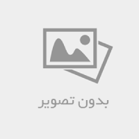 خرید بدلیجات